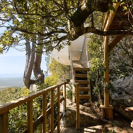 Luxury tent Cocoon Village