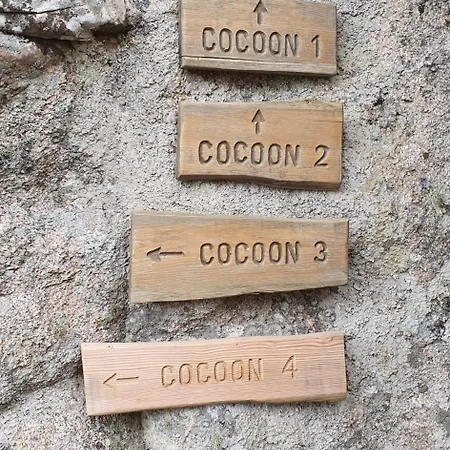 Cocoon Village *