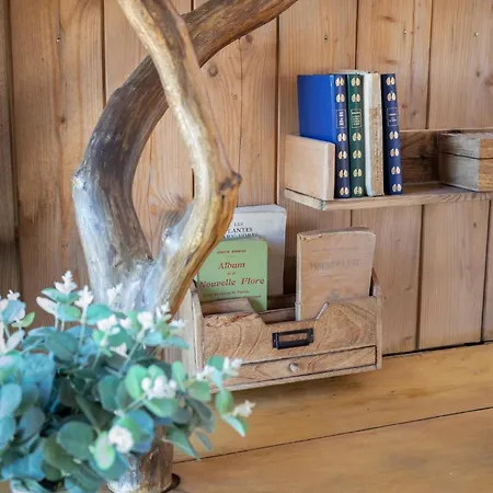 Cocoon Village אוהל מפואר *