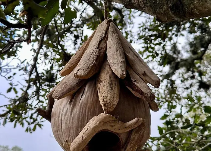 Cocoon Village