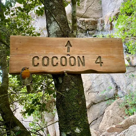 Cocoon Village Lüks kamp alanı