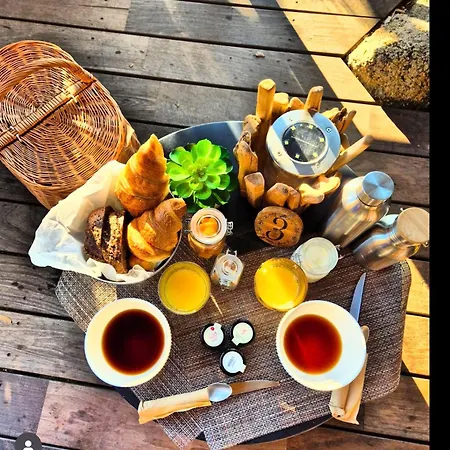 럭셔리텐트 Cocoon Village