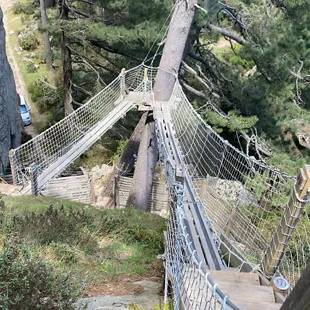 Cocoon Village Luksustelt *