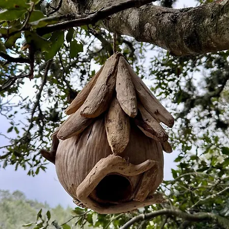 Cocoon Village