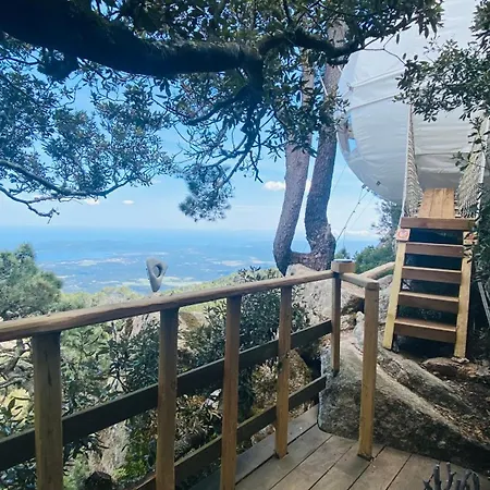 Cocoon Village Luxuszelt Porto-Vecchio (Corsica)