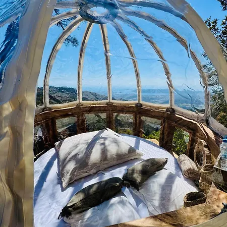 Cocoon Village 럭셔리텐트
