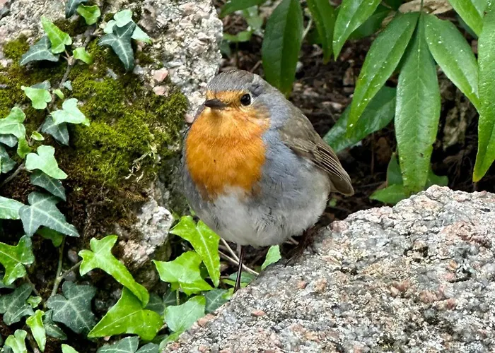 Tente de luxe Cocoon Village *
